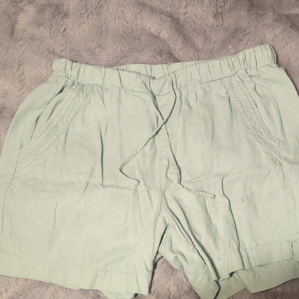 Briggs New York Women's Mint High Waist Shorts